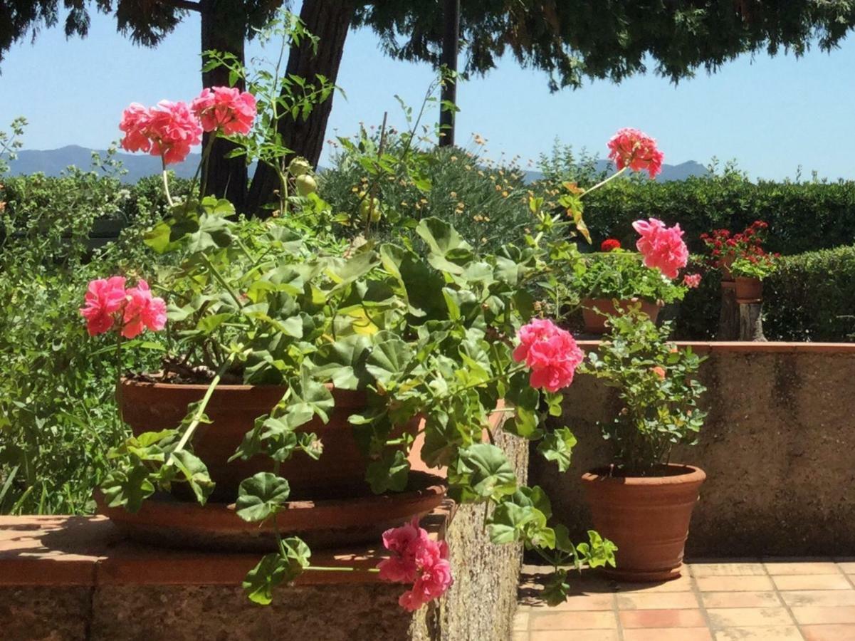 Campo Al Cerro Apartment Bolgheri